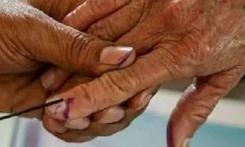 vote