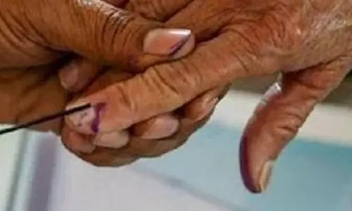 vote