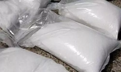 Pak national detained after 2,500 kg drugs worth Rs.12,000 cr seized: NCB