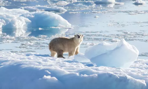 Warm ocean waters are shockingly eating into miles of glaciers, raising concerns