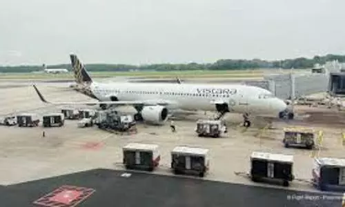 Andheri man enters airport with fake air ticket to search for lost phone, arrested