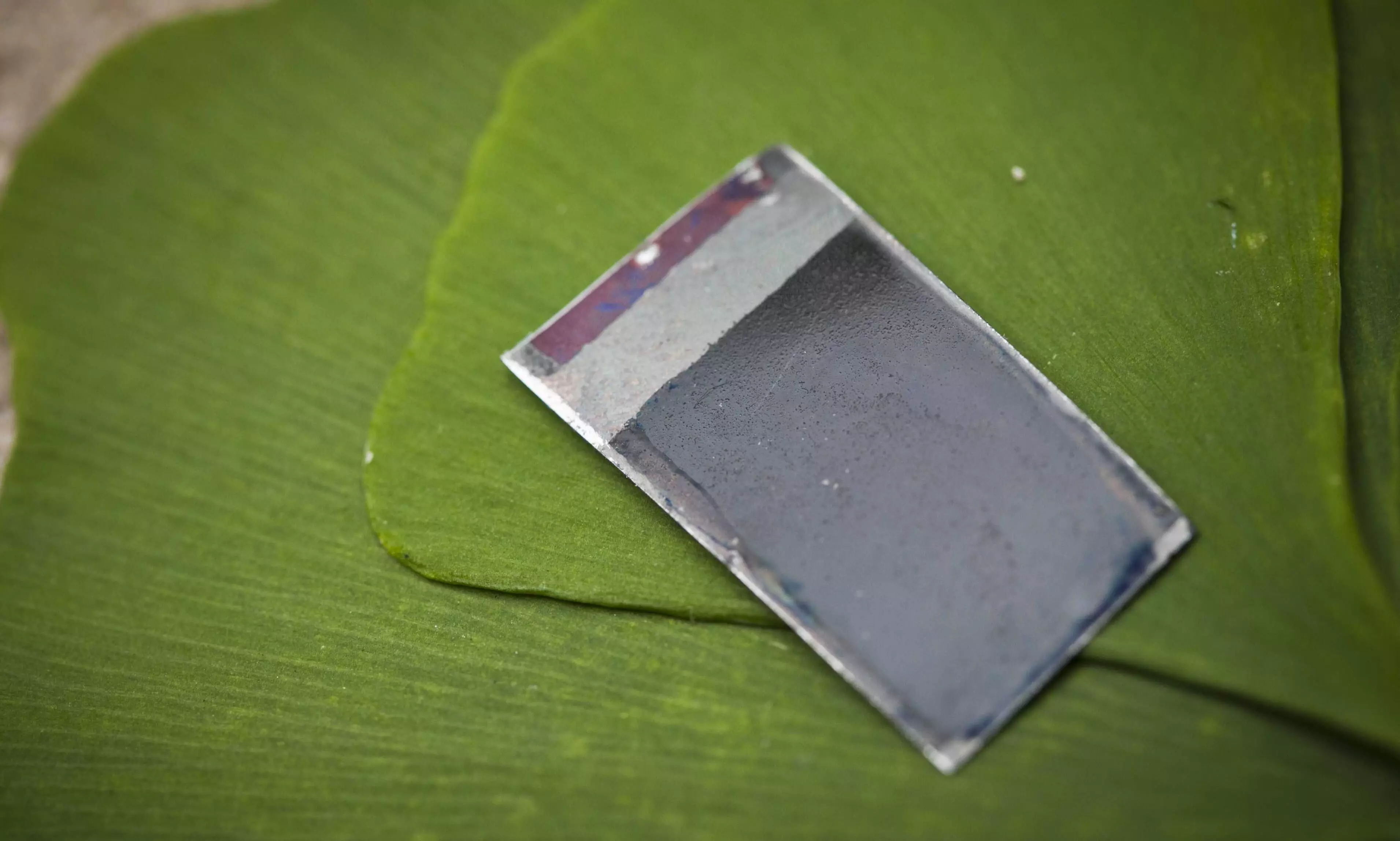 Ground-breaking technology: Artificial leaf turns sunlight into drop-in fuels