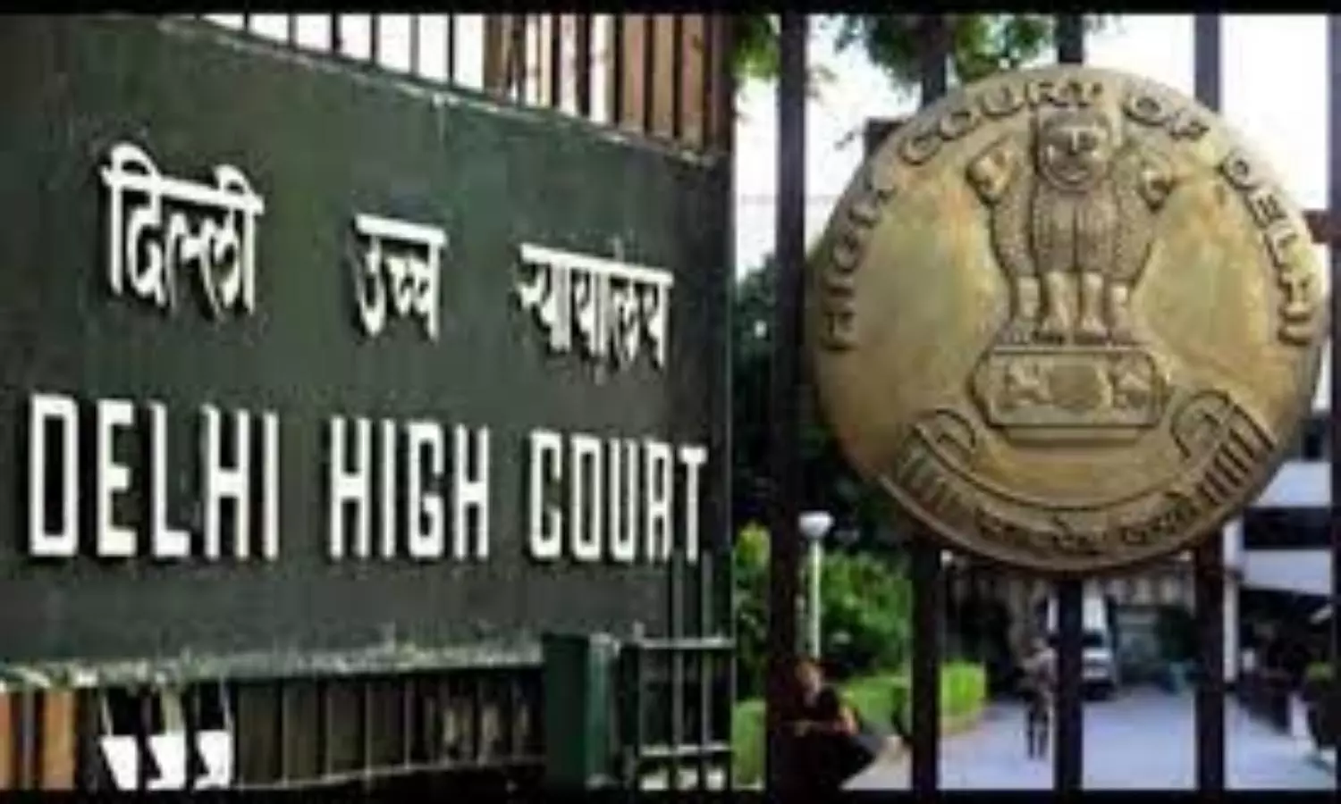 Delhi HC sentences two PWD officials to jail for not protecting trees