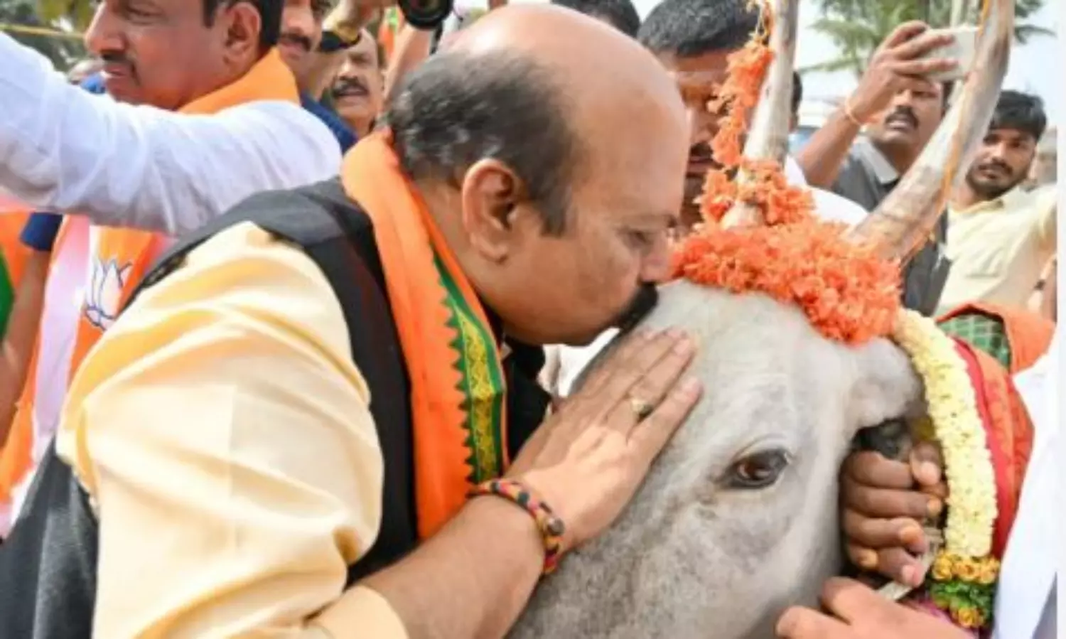 BJP’s Bommai says he has emotional connection with cows: In response to Cong Min:s Anti-cow slaughter law remark