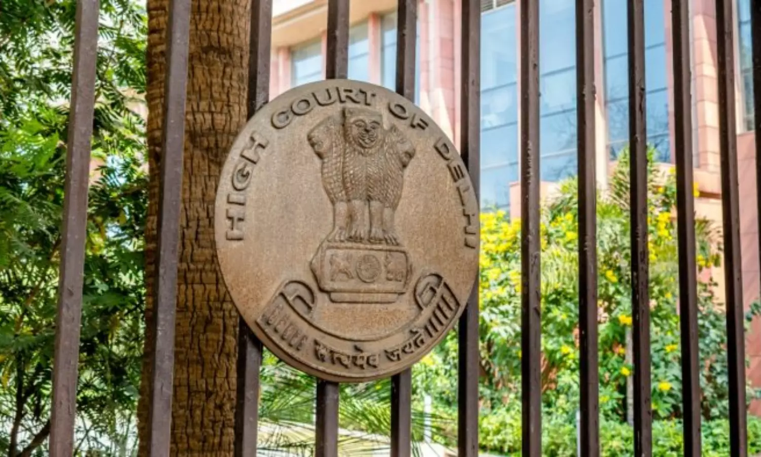 Delhi HC restrains Dabur from airing WhatsApp ad on Amla Hair Oil