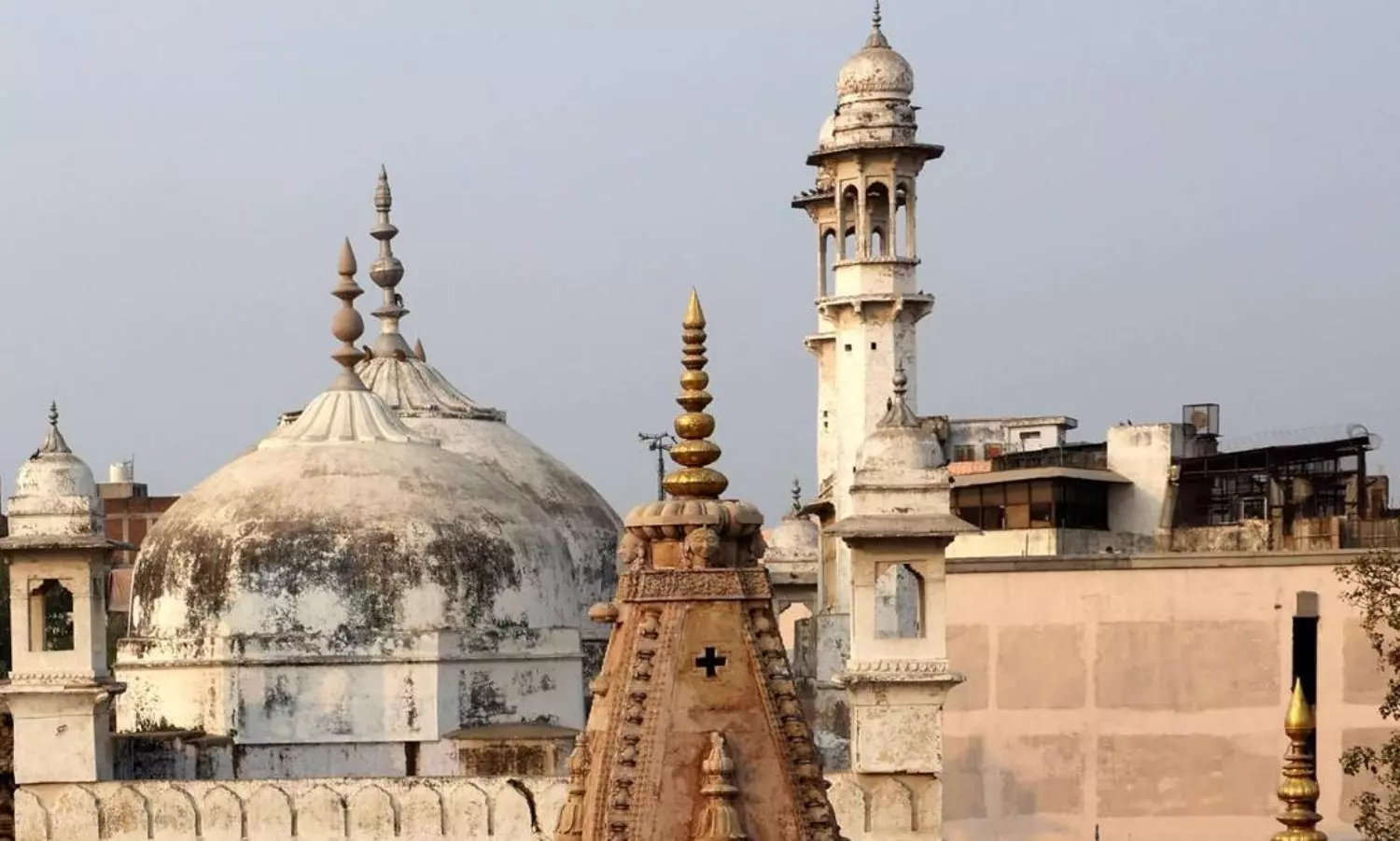 Main plaintiff in Gyanvapi Masjid case seeks mercy killing amid pressure from fellow petitioners
