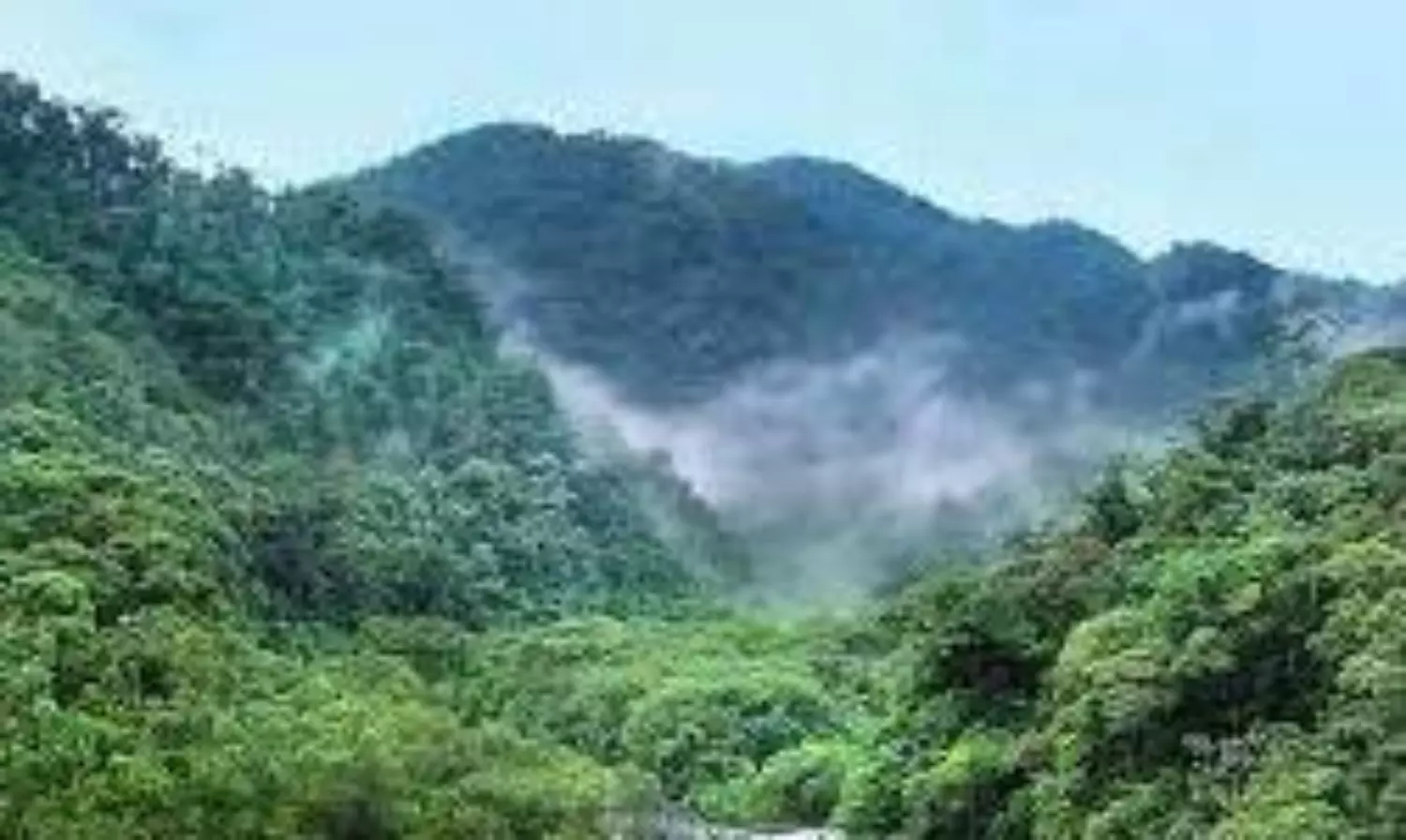 MP forest dept collaborates with CWC to resolve corridor challenges
