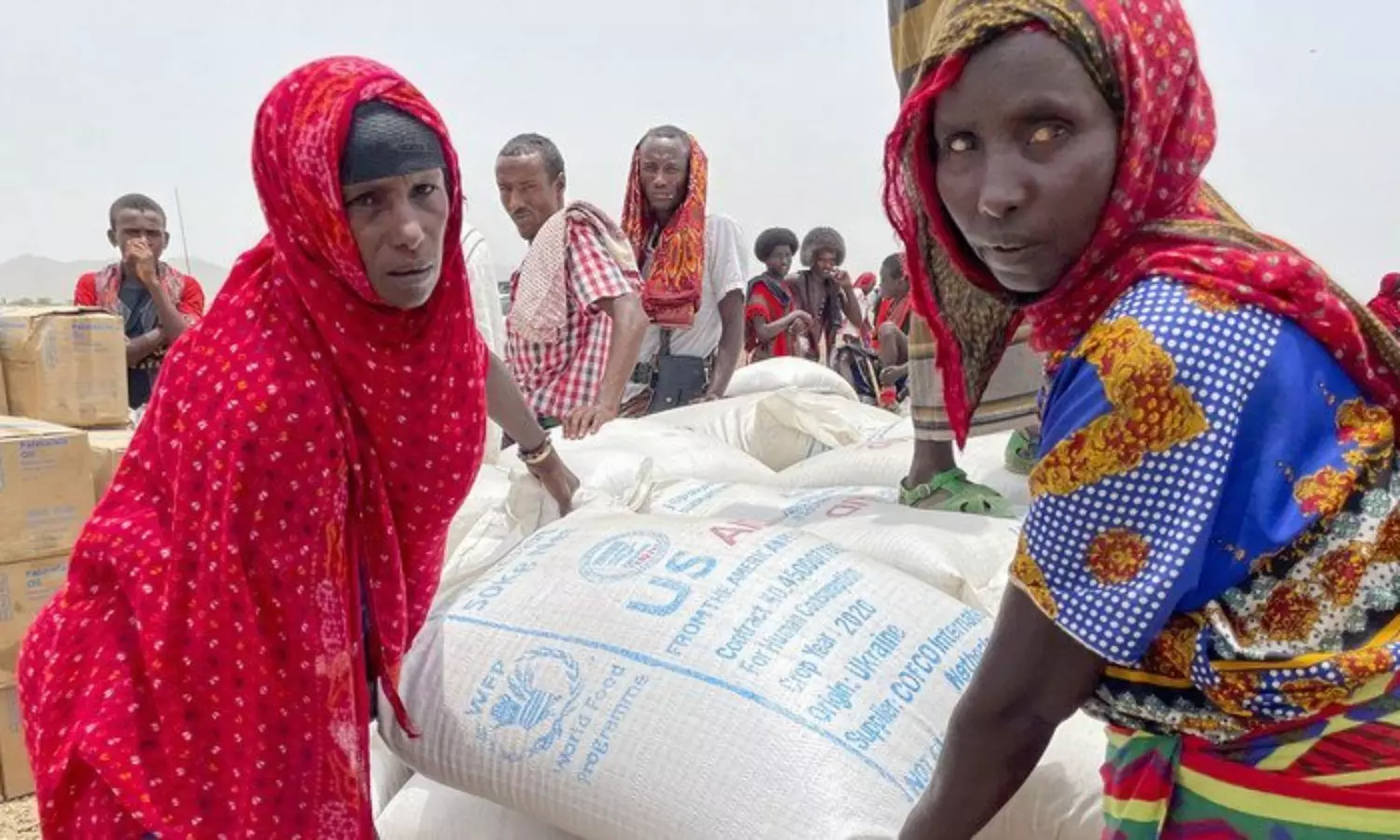 WFP suspends food aid assistance program in Ethiopia after widespread diversions