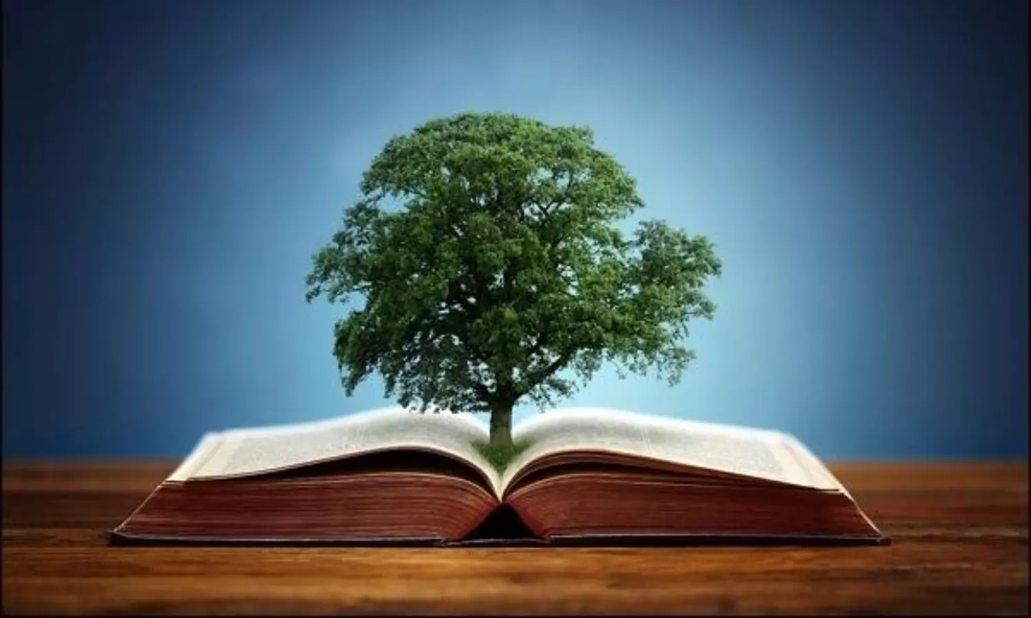 UGC to add Environmental studies to UG syllabus