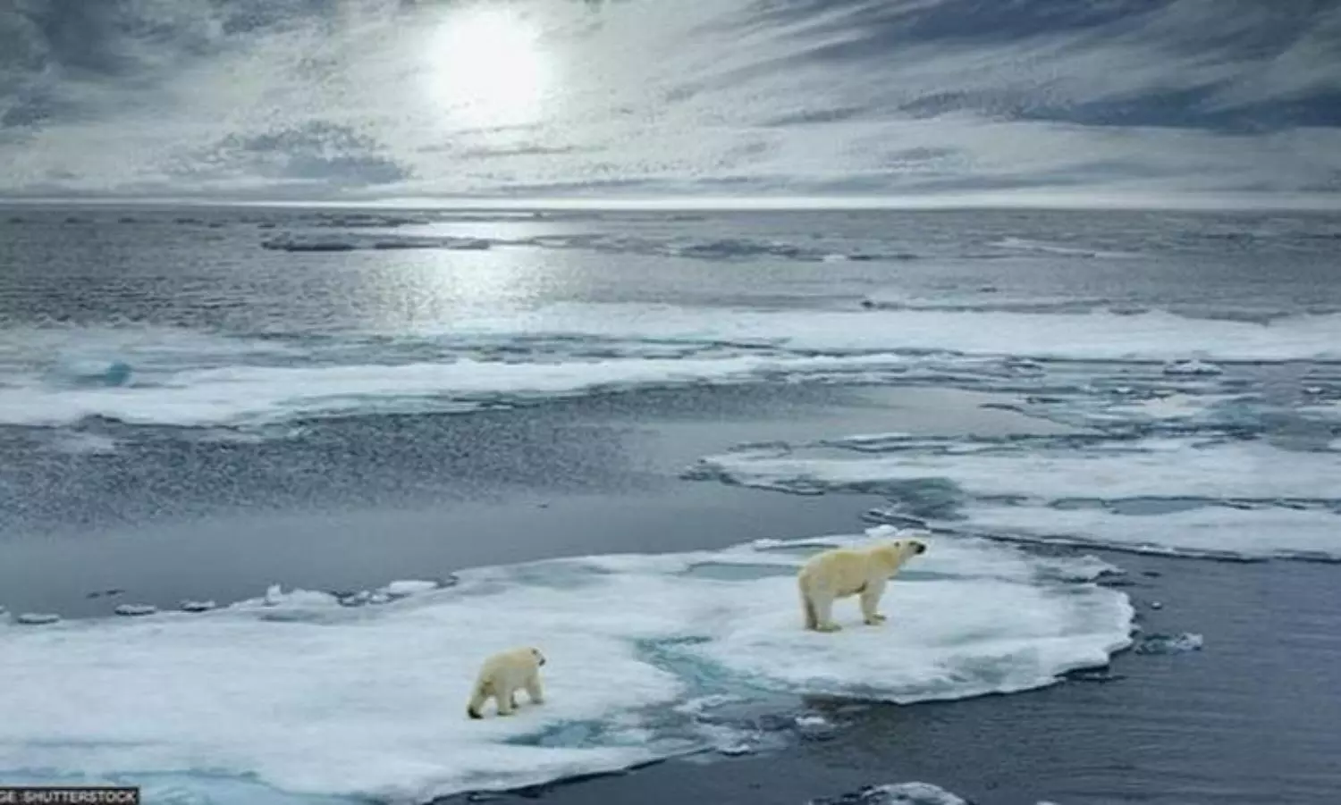 Scientists predict more sea-ice loss; find greater warmer inflow into Arctic in 2010s