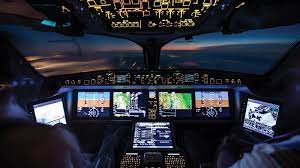 A large bird smashes through windscreen, pilot gets covered with blood A large bird smashes through windscreen, pilot gets covered with blood