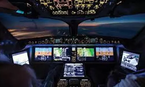 A large bird smashes through windscreen, pilot gets covered with blood