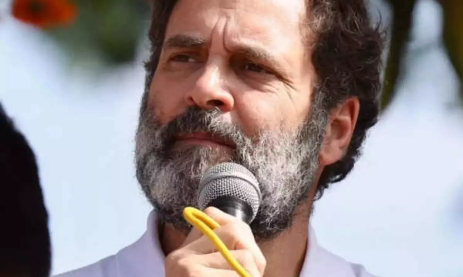 Rahul accuses govt of trampling upon hopes of youth by taking away 2 lakh jobs from PSUs