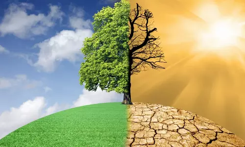 Metaverse could help address global warming, says study