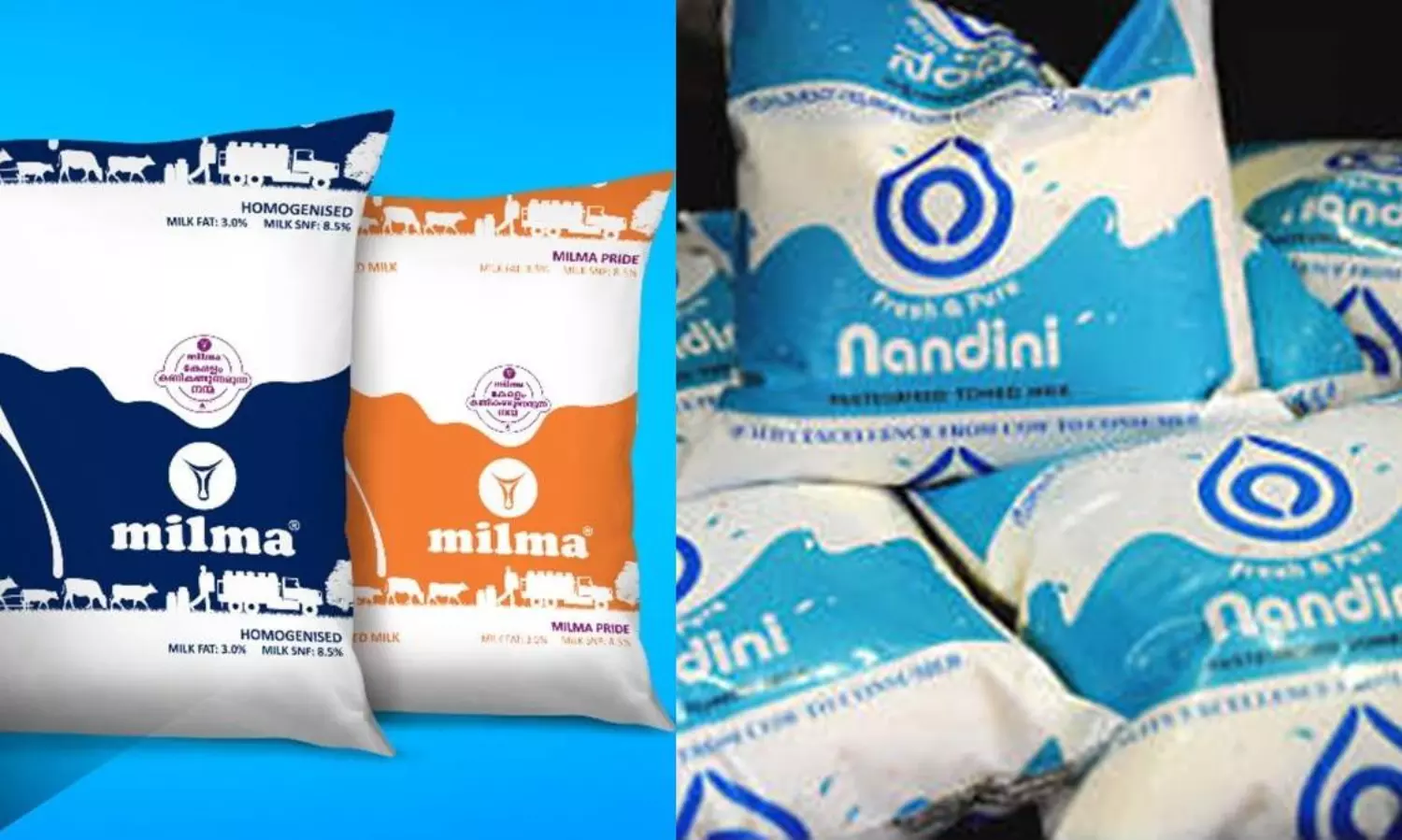 Kerala seeks Centre’s intervention to stop K’tka’s Nandini Milk selling in state