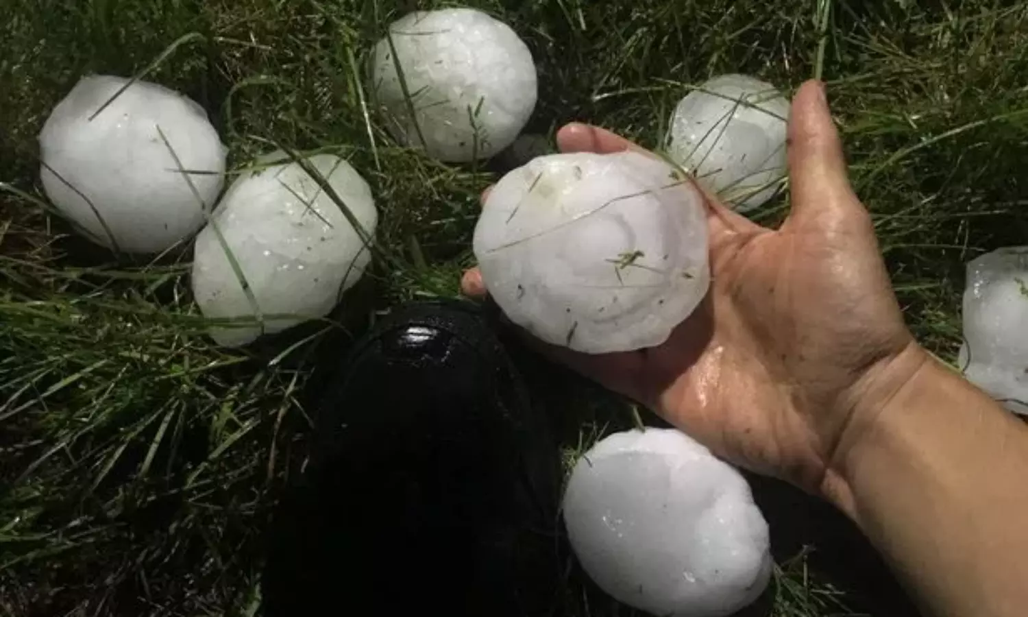 ‘Apple-sized’ hail injures Louis Tomlinson concertgoers