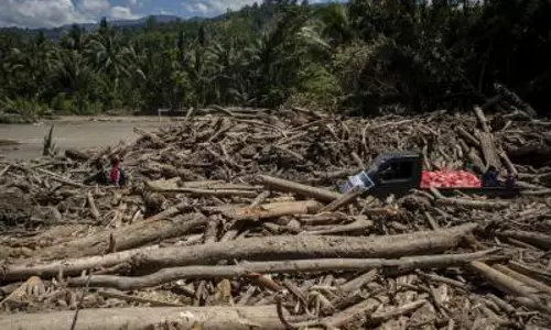 Indonesian province hit by powerful earthquake leaving damages