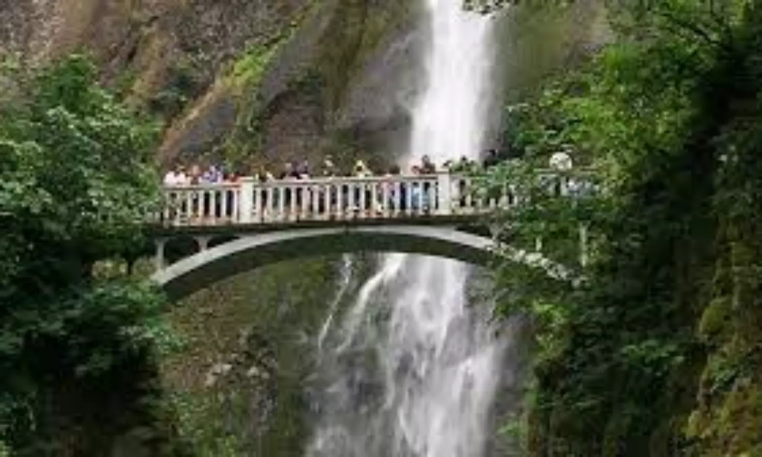 US man falls to death during hiking as wife and 5 kids watch