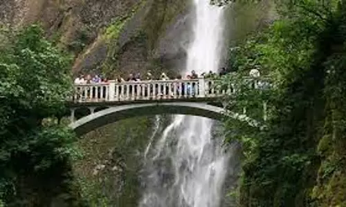 US man falls to death during hiking as wife and 5 kids watch