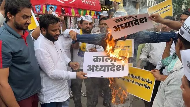 Centre’s Delhi ordinance: AAP stages protest, burns effigies