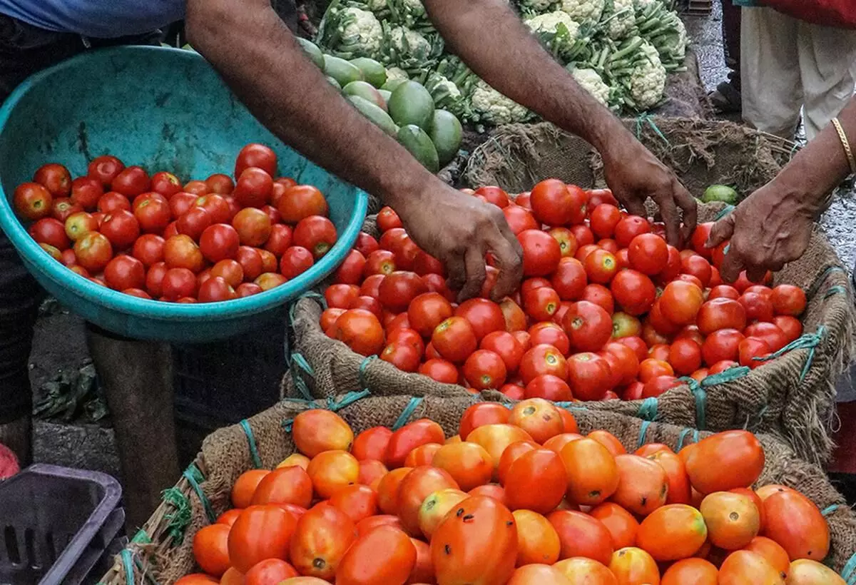 Madhya Pradesh woman leaves home after husband cooked two tomatoes not consulting her