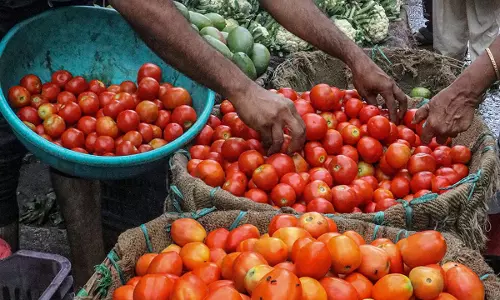 Madhya Pradesh woman leaves home after husband cooked two tomatoes not consulting her