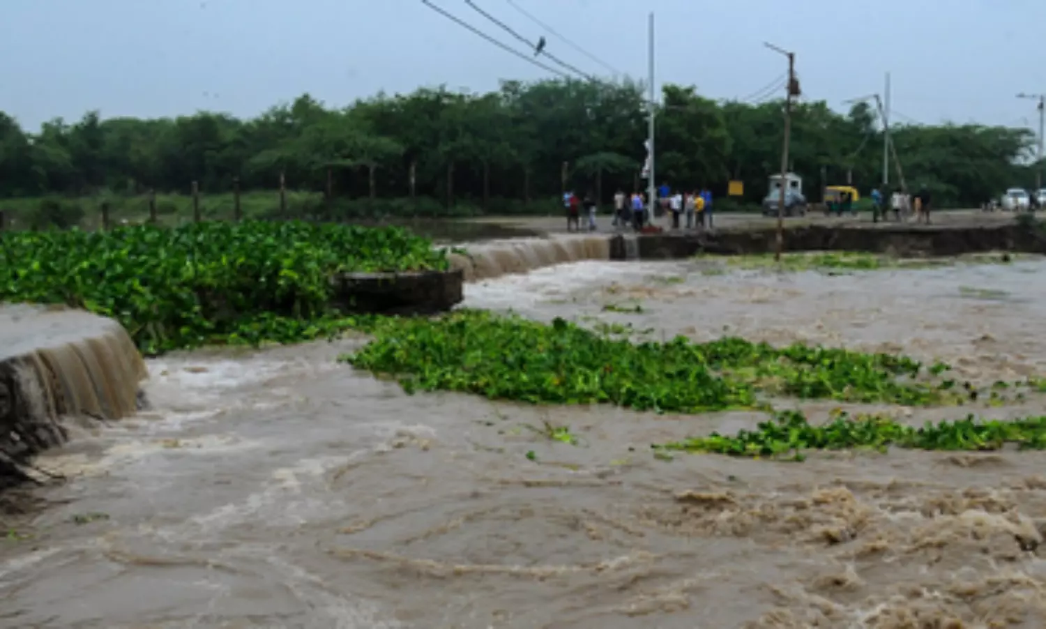 Rain-related incidents in UP kill 14