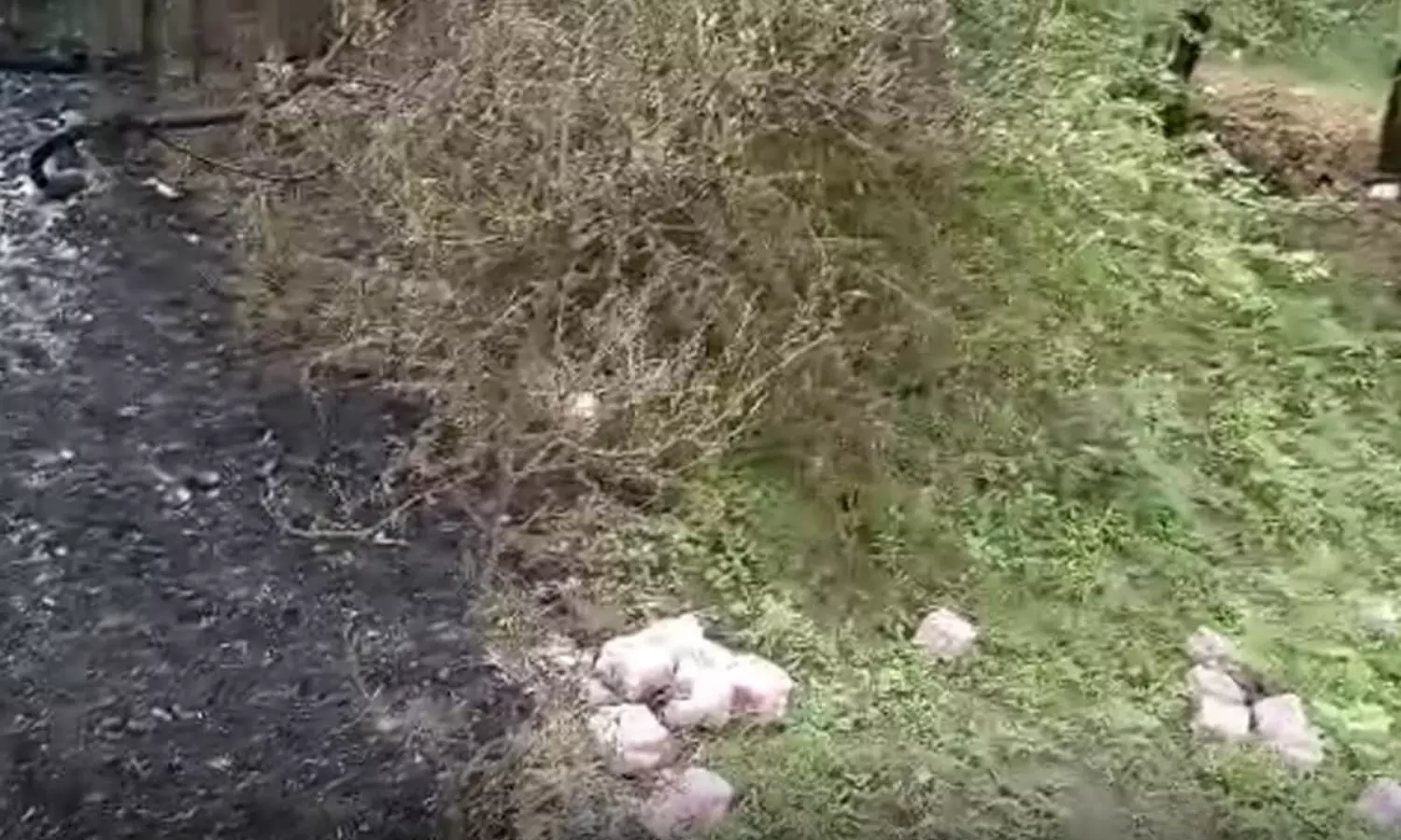 Probe underway as thousands of burnt sanitary napkins discovered in Rajasthans Jhalawar