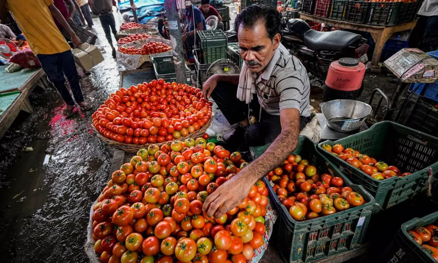 Centre cuts rate of subsidised tomatoes further in Delhi and surrounding areas
