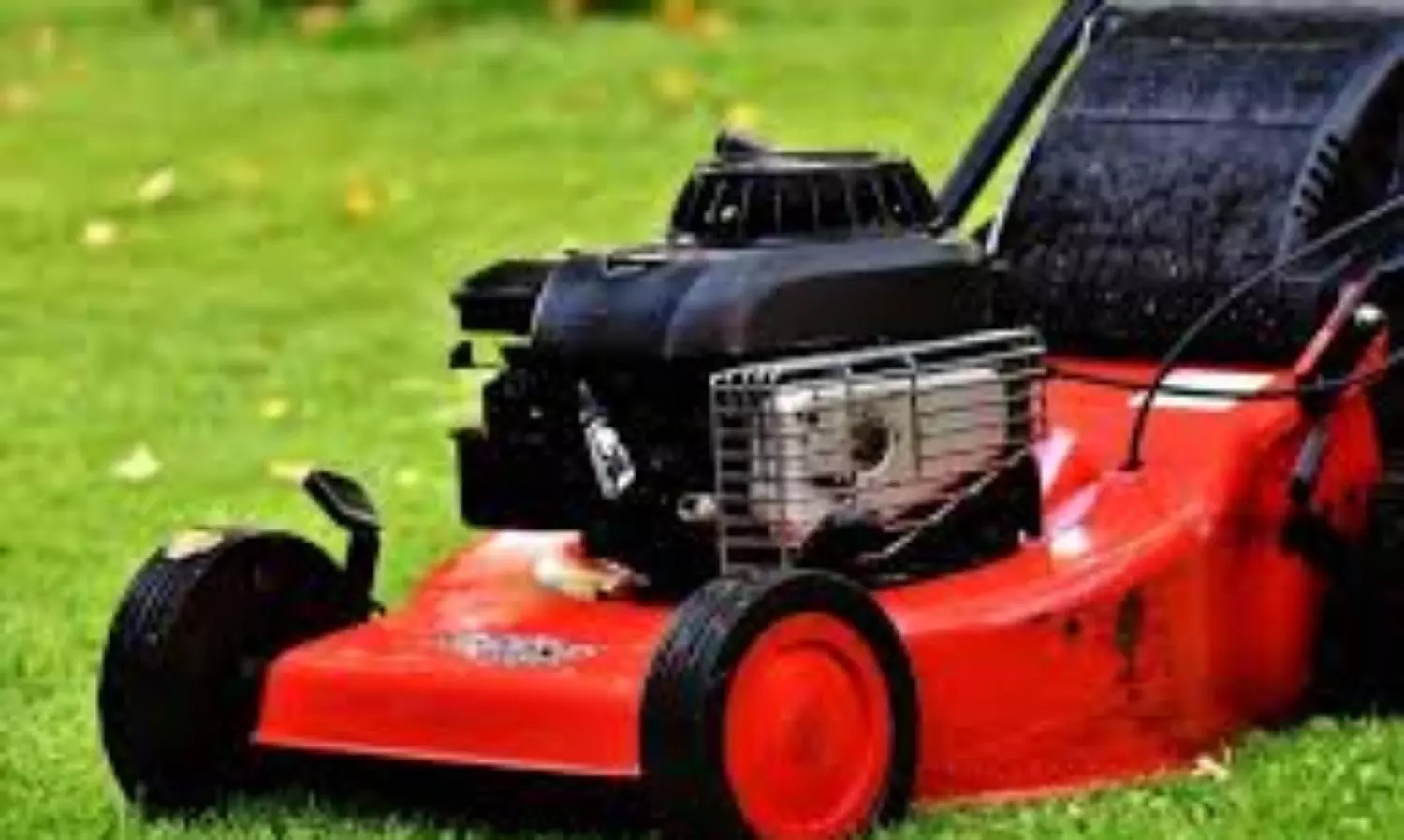 ‘Homeless’ woman sleeping in US park dies being run over by lawnmower