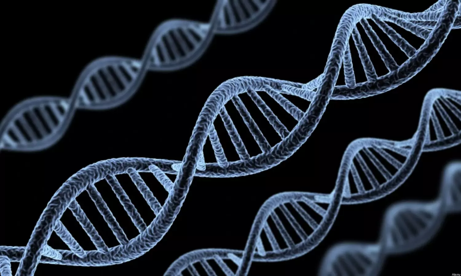 Genes for learning and memory date back 650 mn years ago