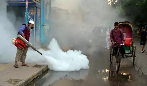 Dengue: Bdesh records highest single-day deaths of this year