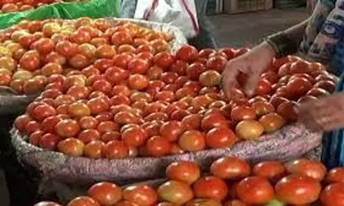 Officials let go vehicles smuggling tomatoes from Nepal, all suspended