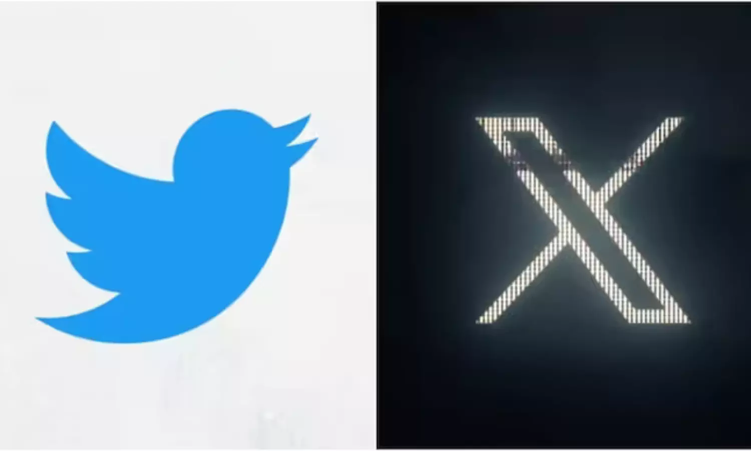 Twitter replaces blue bird with X logo on web