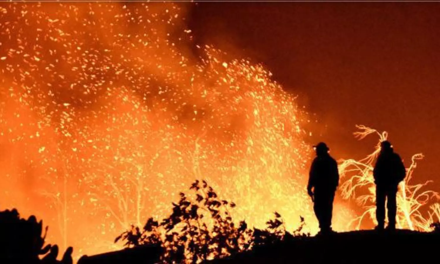 25 killed in wildfires across Algeria, Tunisia also affected