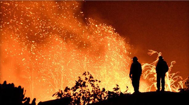 25 killed in wildfires across Algeria, Tunisia also affected 25 killed in wildfires across Algeria, Tunisia also affected