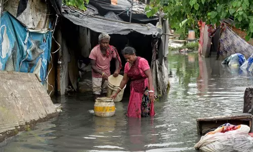 41 killed, more than 1,600 people in relief camps amid Punjab floods