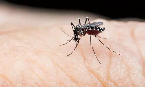 Bangladesh dengue outbreak: death toll hits 201