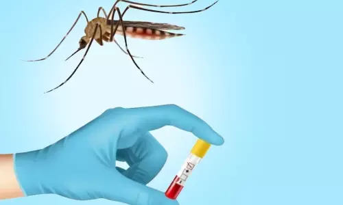 Dengue: 8 dead, 4401 infected in West Bengal, CM expresses concern