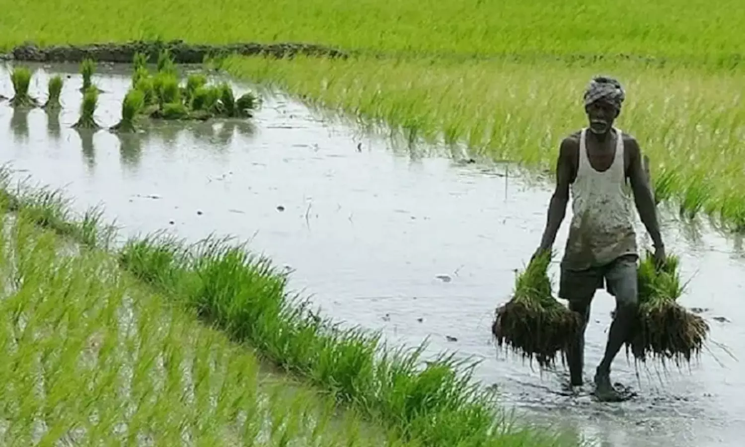 TN farmers to protest against state govt on Aug 15