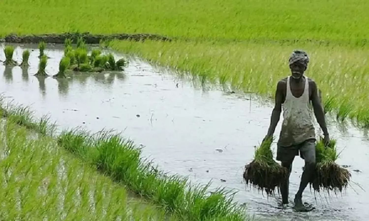 CSIR with new initiative to improve farmers productivity & income