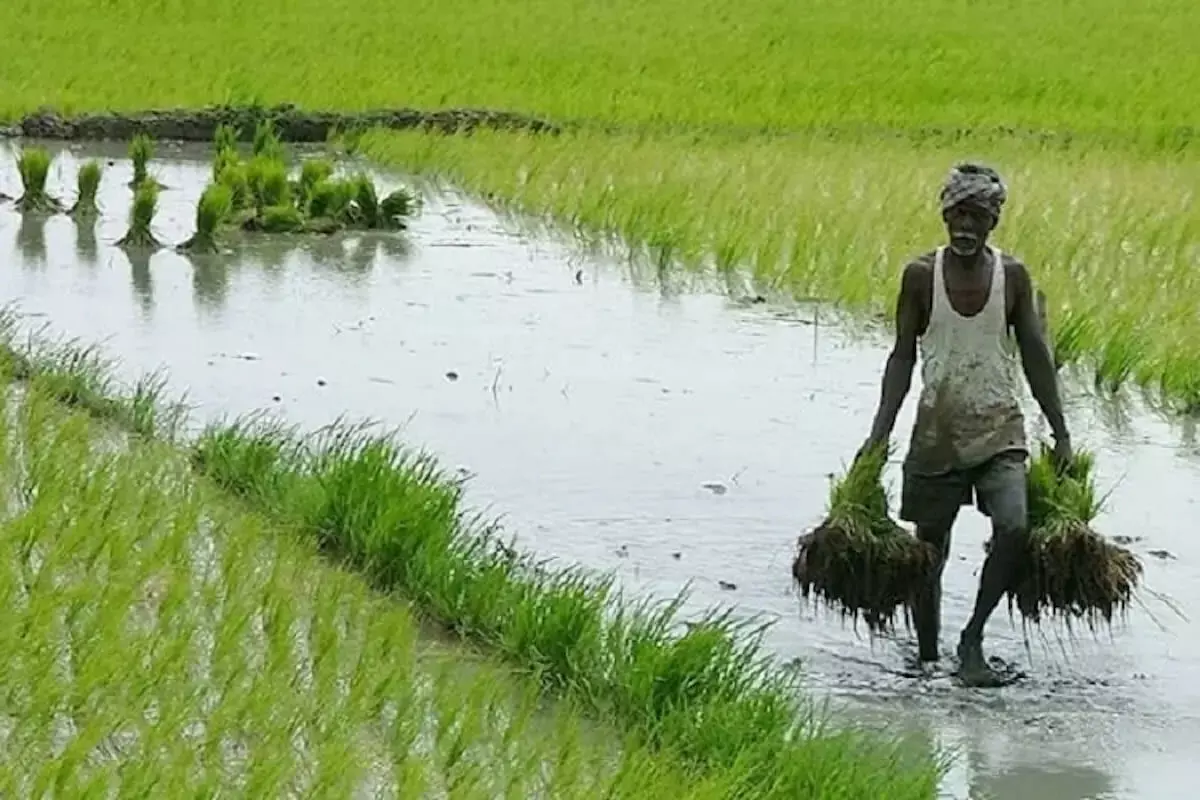 TN farmers to protest against state govt on Aug 15