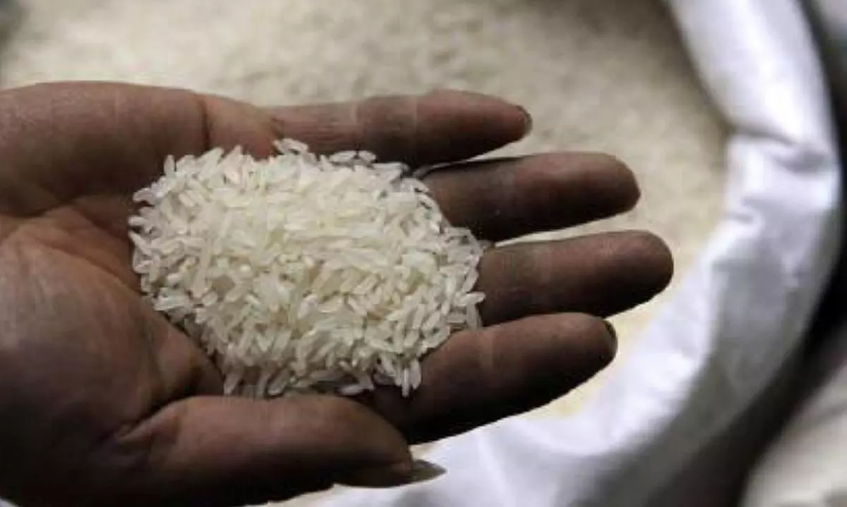 Global rice prices surge as India bans non-basmati rice exports