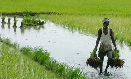 CSIR with new initiative to improve farmers productivity & income