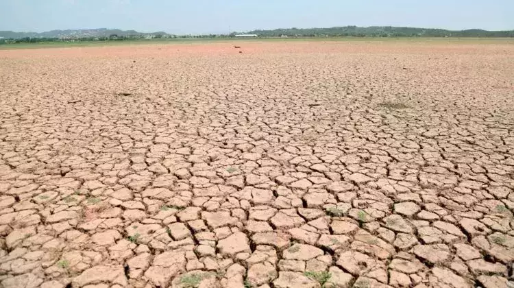 Sri Lankan drought: 90,000 affected