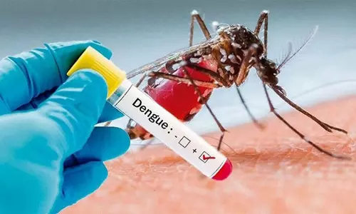 WHO urges swift action as dengue cases surge in Bangladesh