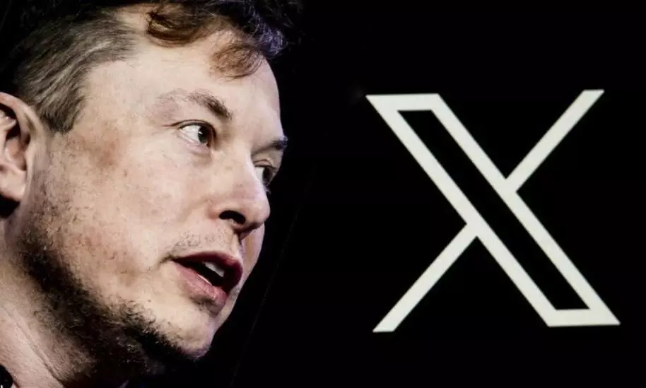 Mass exodus of environmentalists on X after Musk takeover, says research