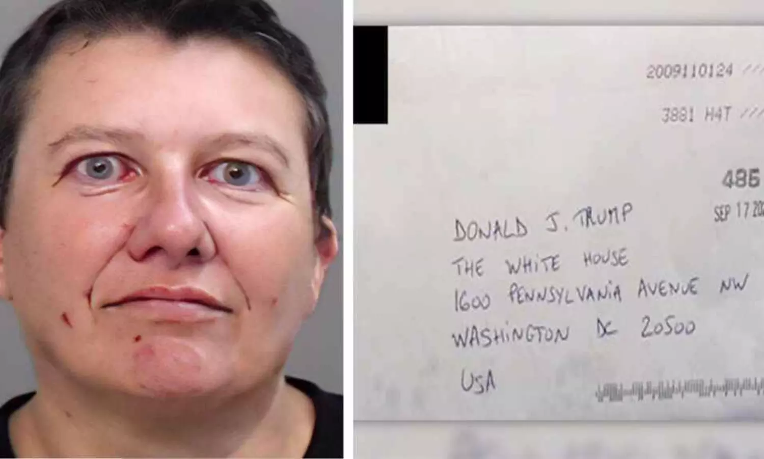 Canadian woman sentenced to 22 yrs for sending poison-laced letters to Trump, 8 peace officers