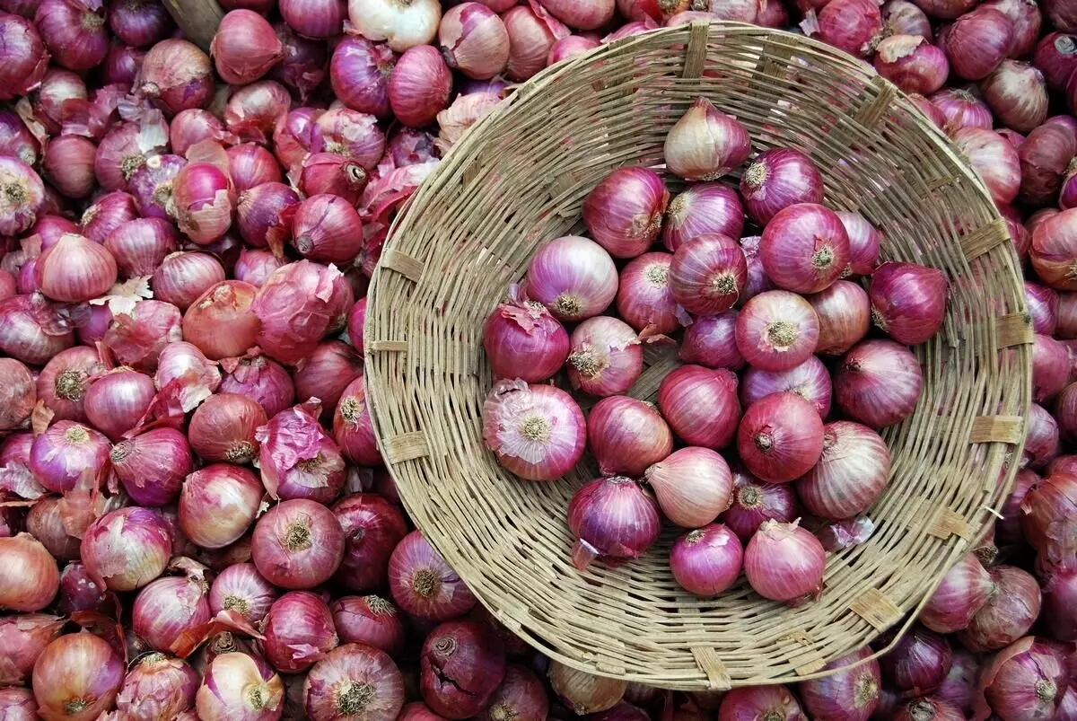 Govt imposes 40% duty on onion till Dec 31