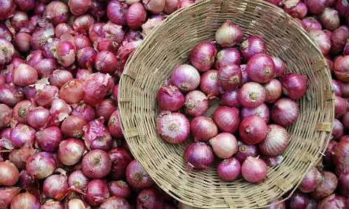 Govt imposes 40% duty on onion till Dec 31